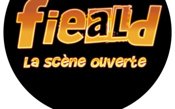 Le FIEALD : Best of Noël 2013 
