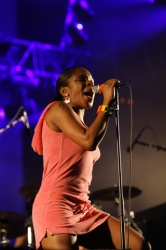 The Go! Team (par Vincent Moreau)