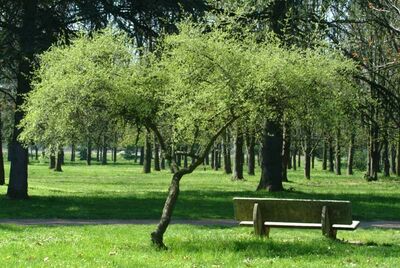 Parc de Parilly - Lyon