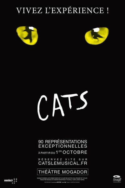 Cats, à Mogador