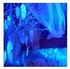 Jardin de nuit - Danse