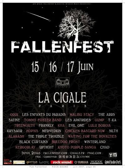Fallenfest 2007